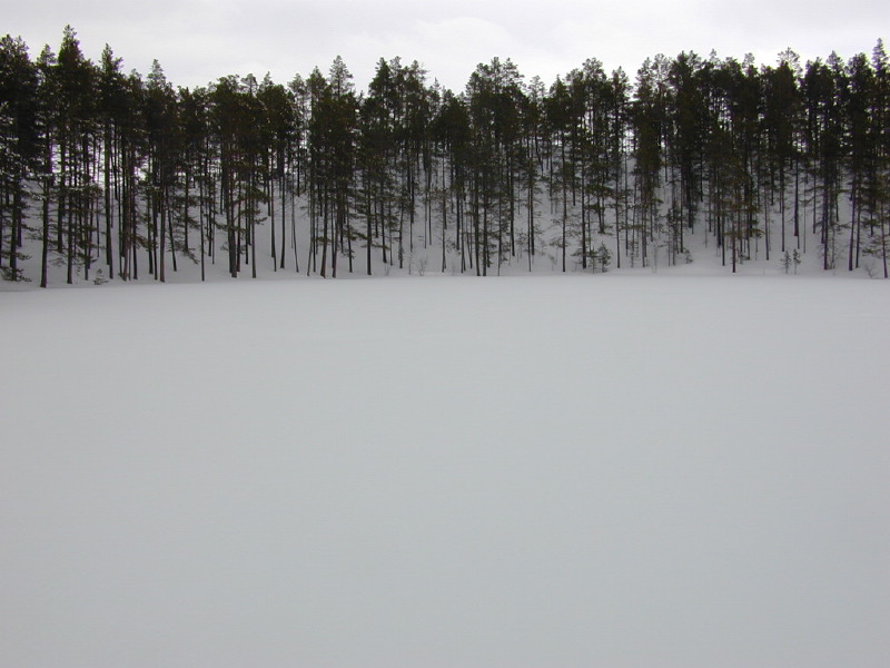 dscn7081.jpg