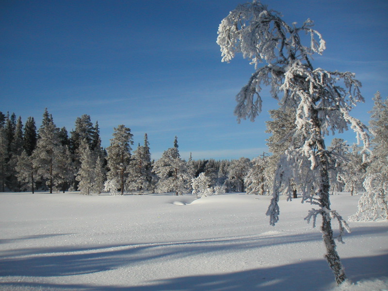 pict0016.jpg