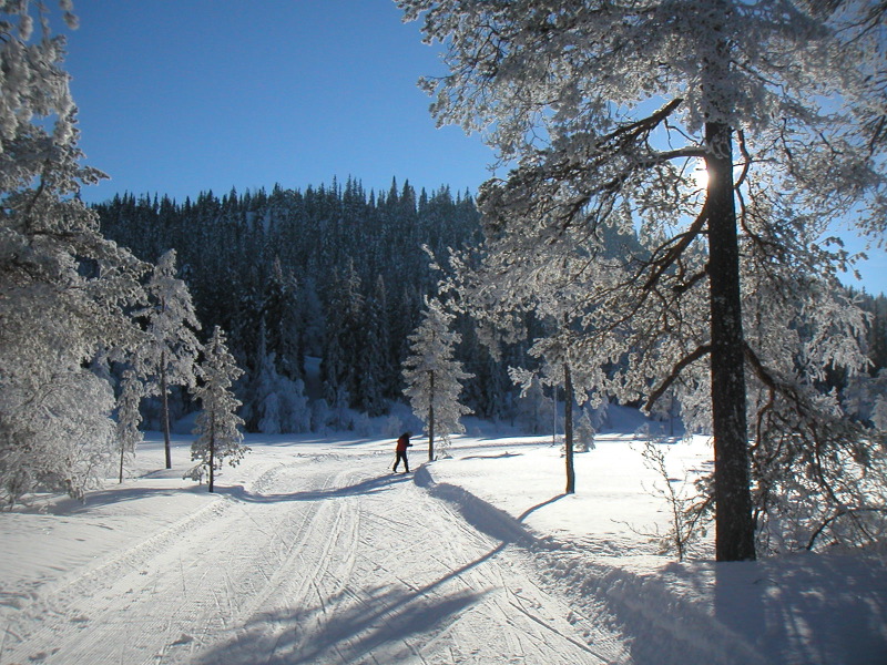 pict0018.jpg