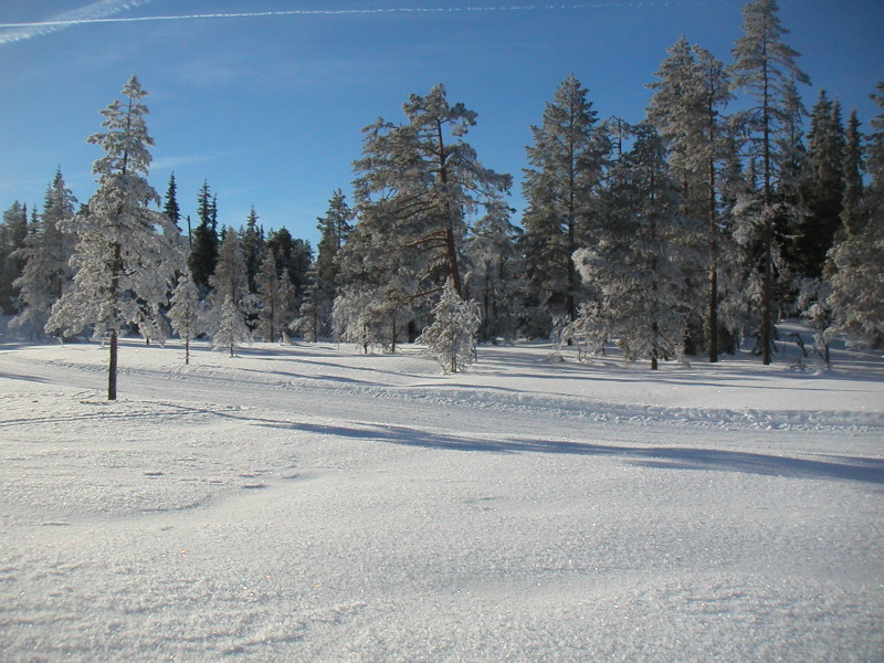 pict0021.jpg