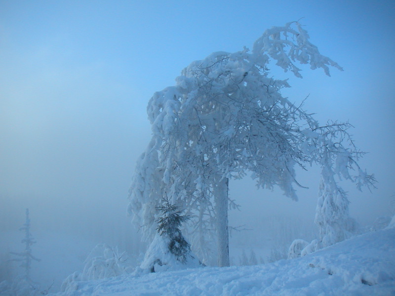 pict0119.jpg