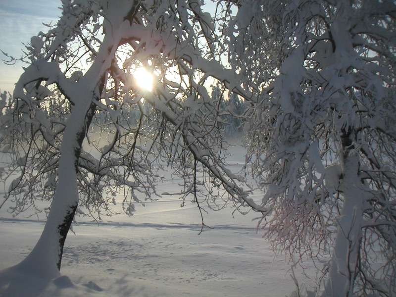 pict0166.jpg