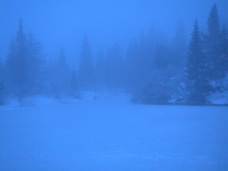 pict0013.jpg